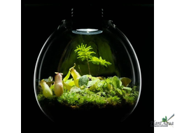 Биобутылка Biolark LED PD 210 (215мм х 240мм)