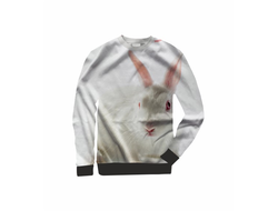 Свитшот 3D с полной запечаткой год Кролика №10