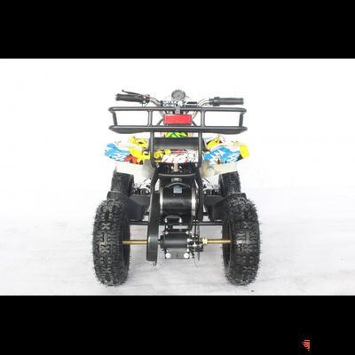 Квадроцикл GreenCamel Гоби K21 (12 Ah 36V 800W R6 Цепь) Граффити