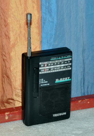 Tecsun R-828T