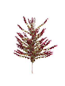 лиственные Церцис канадский Midnight Express