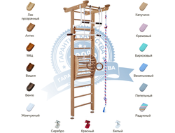 Спортивный комплекс KARUSSELL Catrina купить в Воронеже