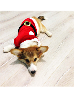 Шубка для собаки Санта