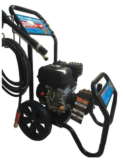 Автомойка DANAU 20/12E с ДВС