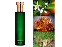 Hermetica Megaflower