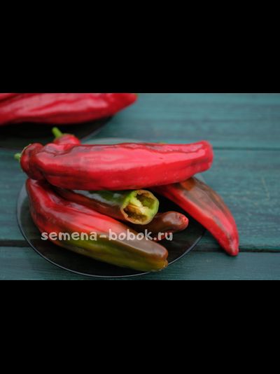 Перец сладкий Слоновий Хобот, 10 шт