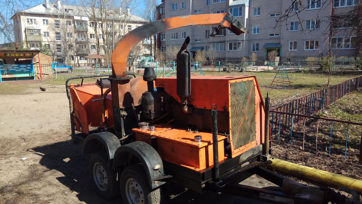 Обрезка лип для детского садика в Великом Новгороде