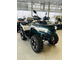 MOTOLAND TITAN 300 MAX  EFi С ЭПСМ