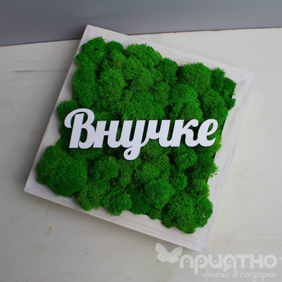 Живая Эко-Картина "Внучке" 1084