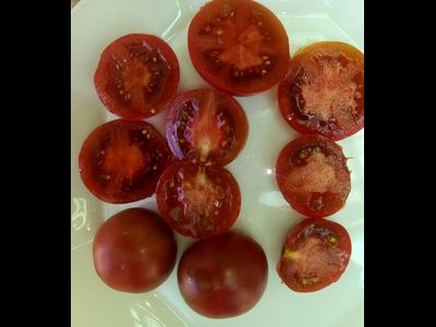 Томат гном Вельвет найт (Бархатная ночь, dwarf Velvet Night)