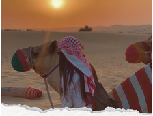 VIP SUPER BUGGY SAFARI Z SHARM EL SHEIKH