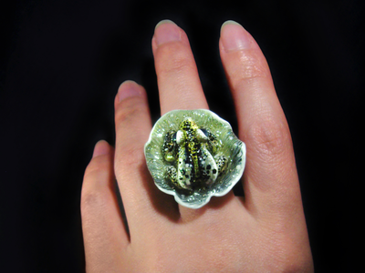 "Крылатая Мара, царевна Туманной топи", фэнтези-кольцо с жемчугом и лягушкой