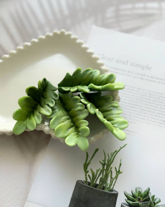 Лист папоротника