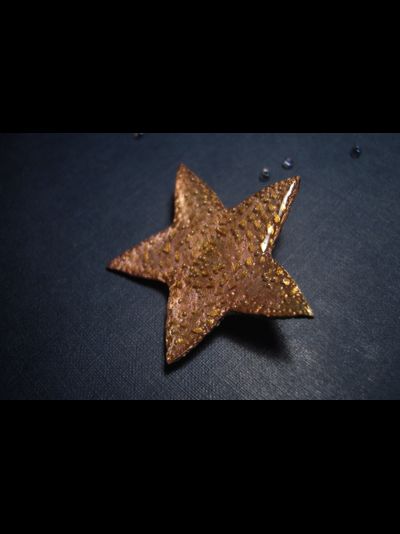 Праздничная брошь &quot;Светит звёздочка с небес&quot; (рождественская серия)