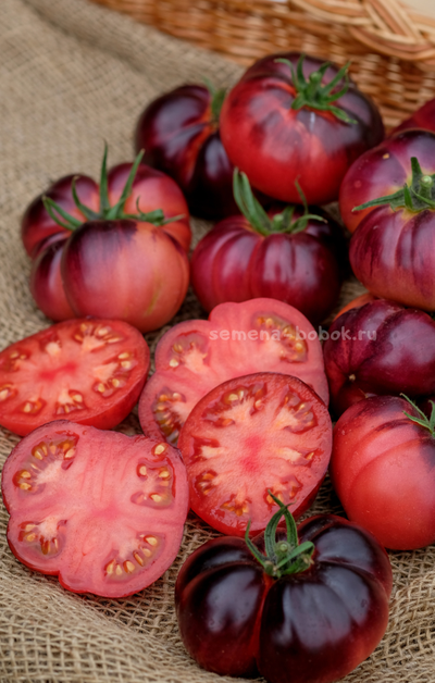 Томат Пленительный Аметист, 10 шт