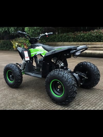 Детский квадроцикл Motax GEKKON 1300W