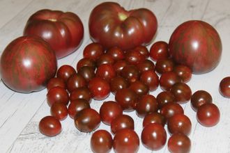 Paulina’s Secret (Секрет Паулины)