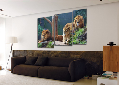 Модульная картина "Внимательные взгляды"