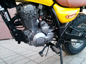 Мотоцикл MOTOLAND V-RAPTOR 250 доставка по РФ и СНГ