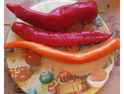 Перец острый Бочковой