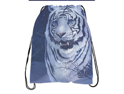 Мешок для обуви год Тигра №10