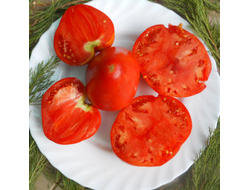 Томат Минусинские сердцевидные