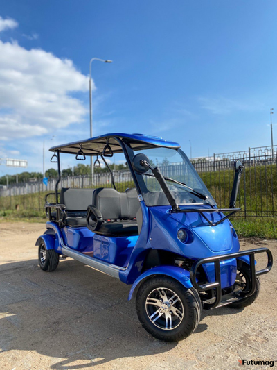 Гольфкар GreenCamel A42 52Ah (4+2 2500W 225/40-10' литые)