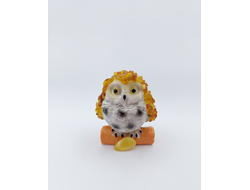 Сова малая на бревне