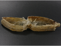 Гипс, кристалл, Россия, Ставропольский край (88*19*16 мм, 37 г) №29486