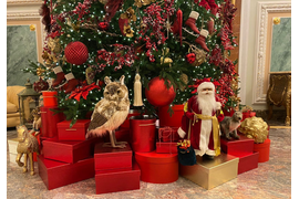 Новогодняя классика, Ель 5 м.