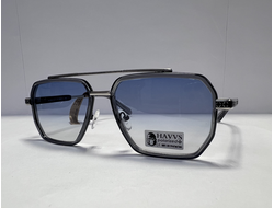 HAVVS ( POLARIZED )