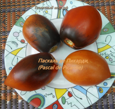 Томат Паскаль из  Пикардии (Pascal de Picardie), США