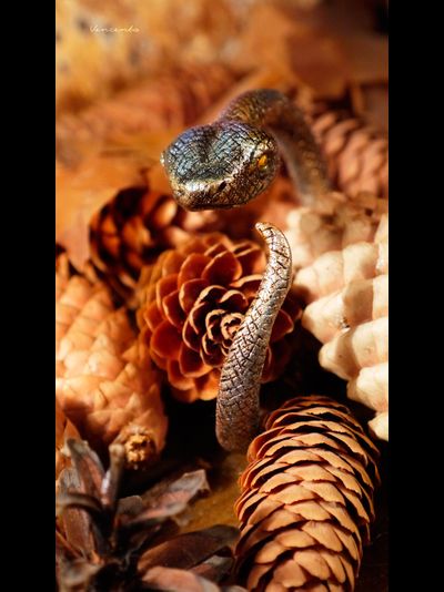 &quot;Золотая Радужная Змейка&quot;, необычный браслет в осеннем стиле