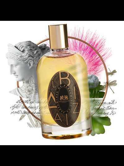 Albizia - PHAEDON PARIS