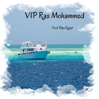 Sea trip Vip Ras Mohammed and White Island (with the possibility of diving for beginners)