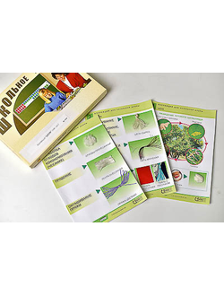 Коллекция "Шелк" (нач. шк.)