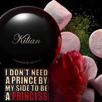 I Dont Need A Prince By My Side To Be A Princess
