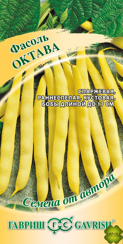 ФАСОЛЬ СПАРЖЕВАЯ "ОКТАВА"