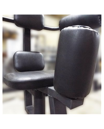 Торс машина 60 кг AV221/80