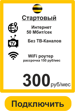 Подключить недорогой Интернет домой в Иркутске от Билайн 