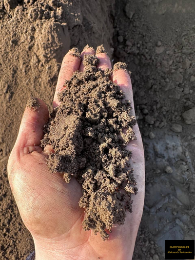 коричневый полевой грунт