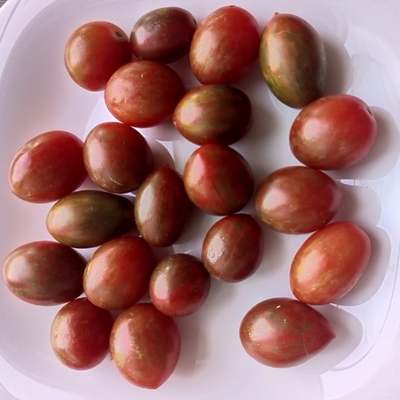 Томат черри Шоколадные брызги (Chocolate Sprinkles)