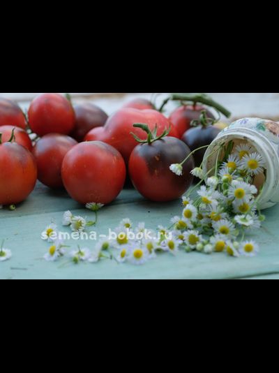 Томат Темная Галактика, 10 шт