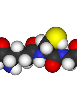 Butylated Hydroxytoluene (BHT)