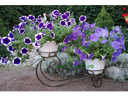 Подставка для цветов кованая 29*37*62см   4кг   металл Россия 2210-021046