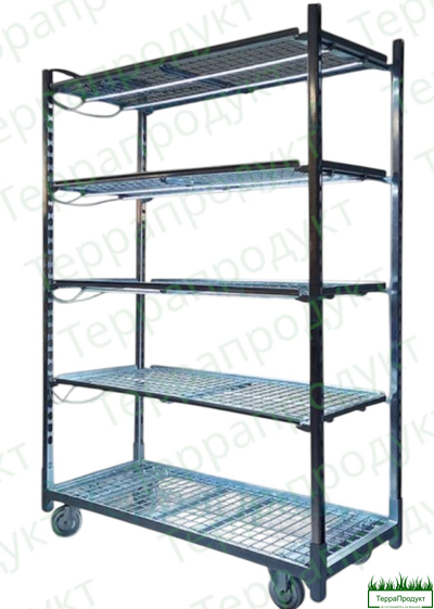 vyraschivaniye-rasteniy-mobilnyye-teplitsy-fotosintez-teplichnyye-usloviya-rassada-golubiki-kupit