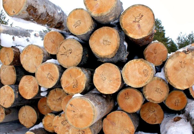 Бревно Кело диаметр 42 см, длина 6 м