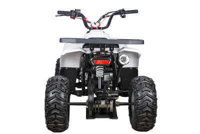 Квадроцикл YACOTA RAPOSA