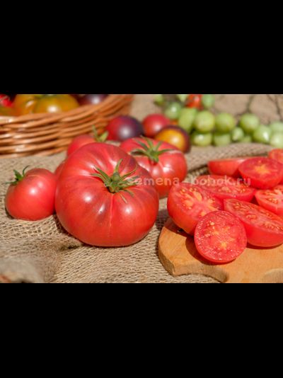 Томат Rebel Starfighter Kayleigh Anne Pink (Восставший Звездный Истребитель Кейли Энн Пинк ), 10 шт