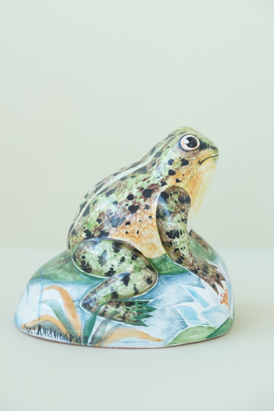 Лягушка на камушке